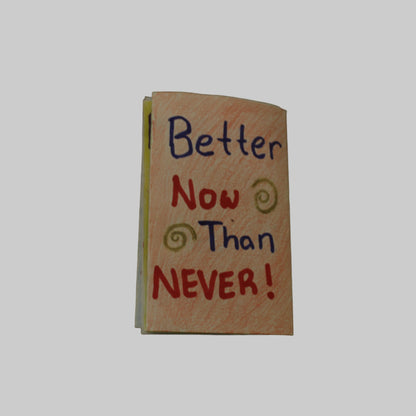 Better Now Than Never - Things I Wish I Knew When I Was Younger Back Cover Zine